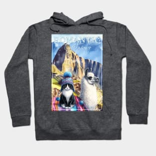 Romantic Andes Getaway Cat Tuxedo Life 3AT Hoodie